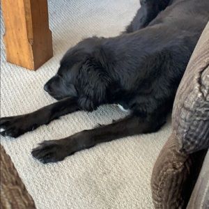 Meet your Posher, Barbara